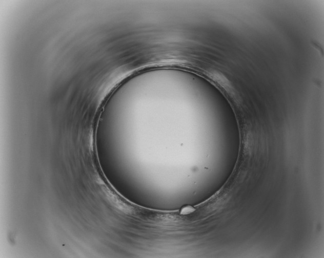 X0000102291420200808011503