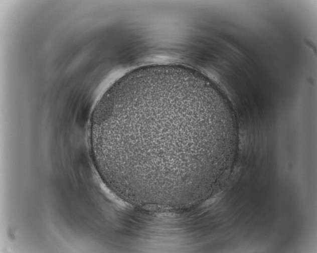 X0000102291421200808011503