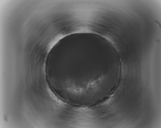 X0000102291422200808011503