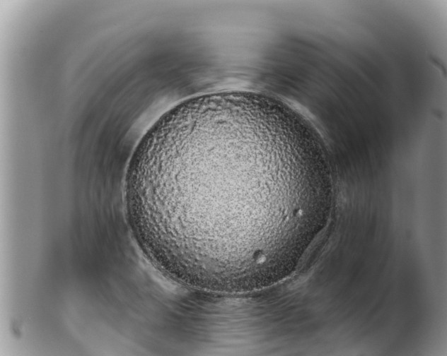 X0000102291423200808011503