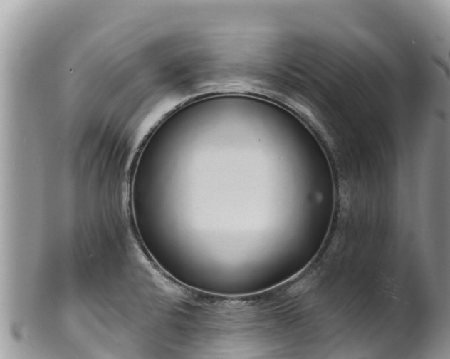 X0000102291424200808011503