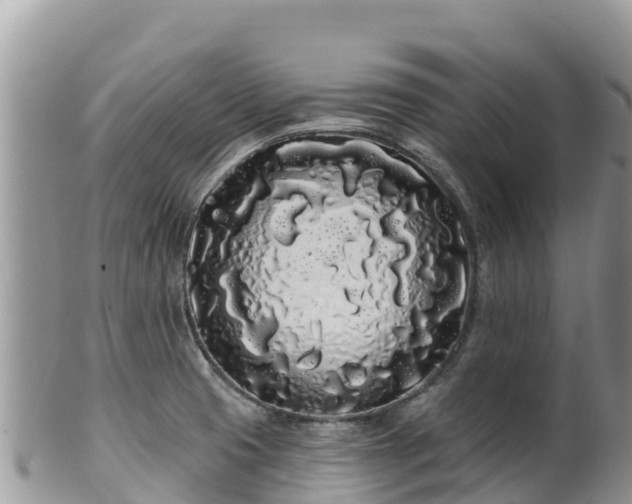 X0000102291425200808011503