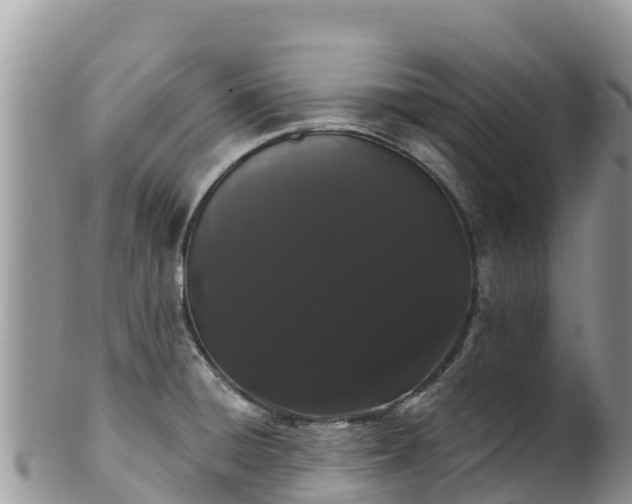 X0000102291428200808011503