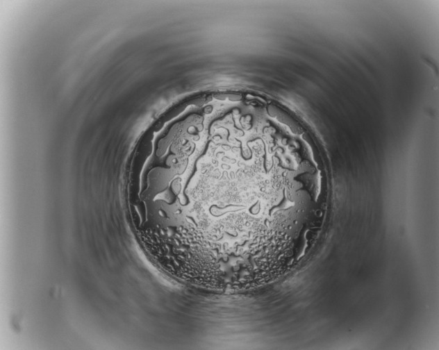 X0000102291429200808011503