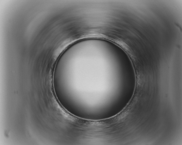 X0000102291430200808011503