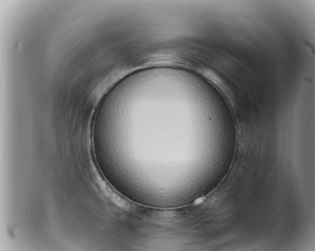 X0000102291431200808011503