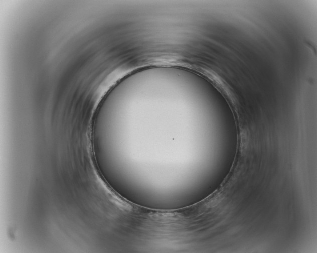 X0000102291432200808011503