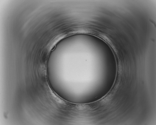 X0000102291433200808011503