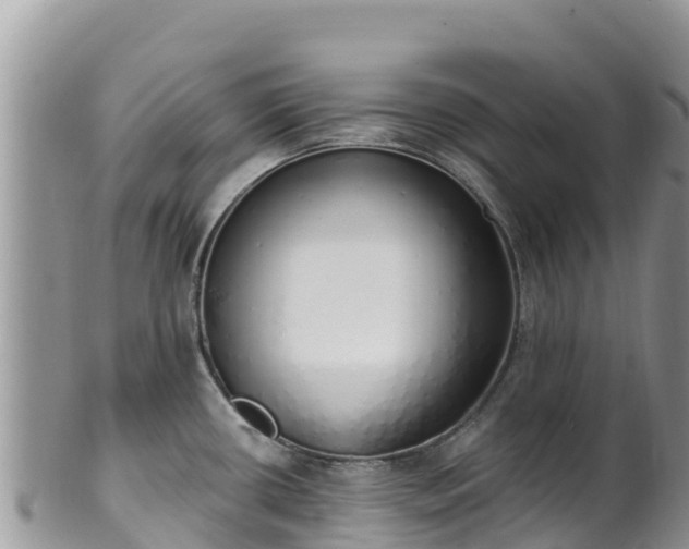 X0000102291434200808011503