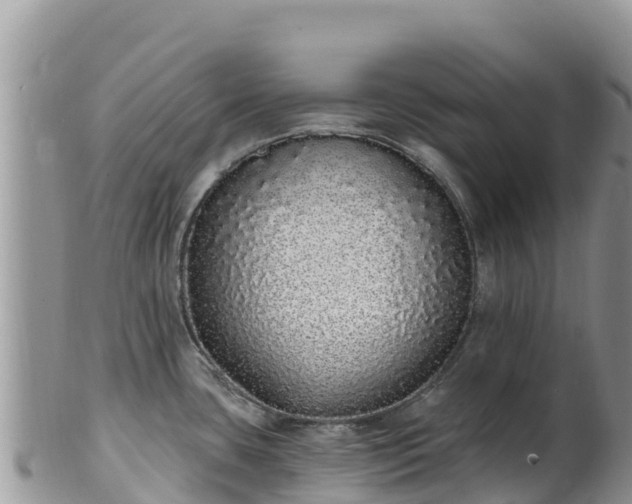 X0000102291435200808011503