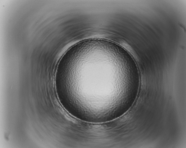 X0000102291436200808011503