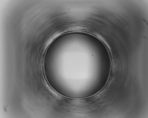 X0000102291437200808011503