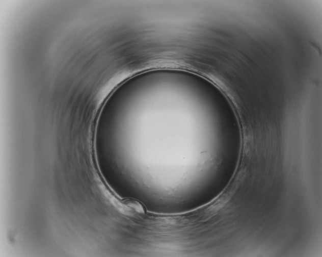 X0000102291438200808011503