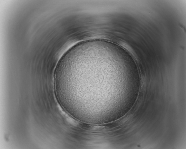 X0000102291439200808011503