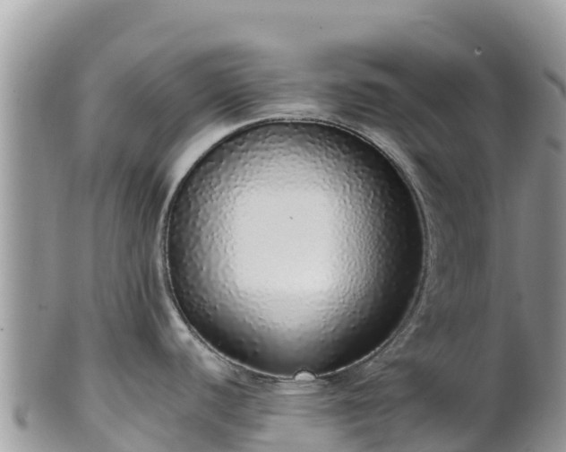 X0000102291440200808011503