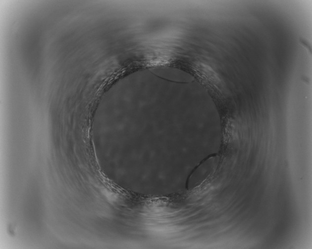 X0000102291441200808011502