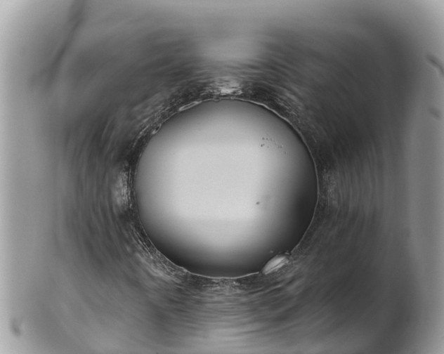 X0000102291442200808011502