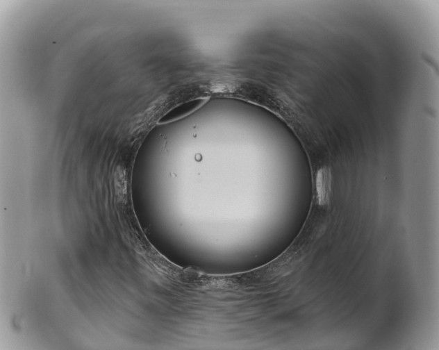 X0000102291443200808011502