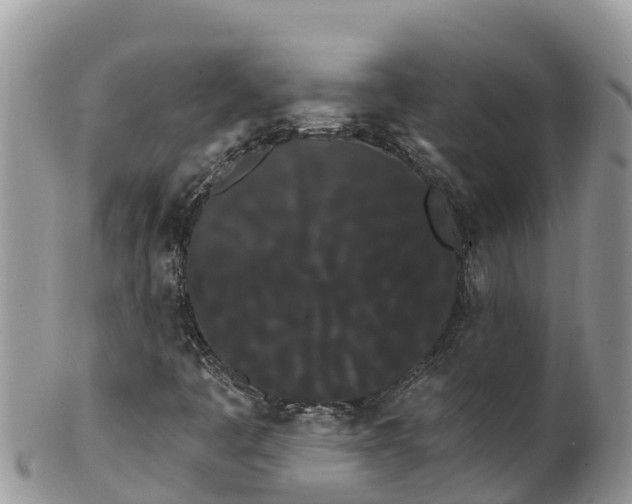 X0000102291445200808011502