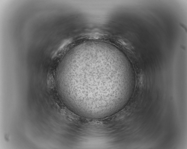 X0000102291446200808011502