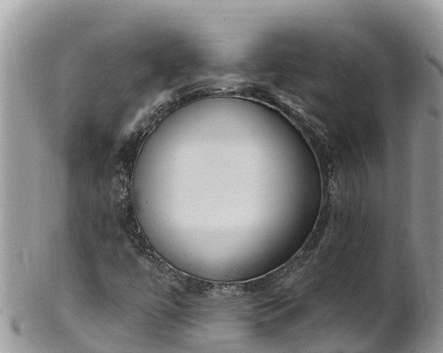 X0000102291447200808011502