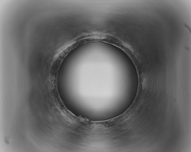 X0000102291448200808011502