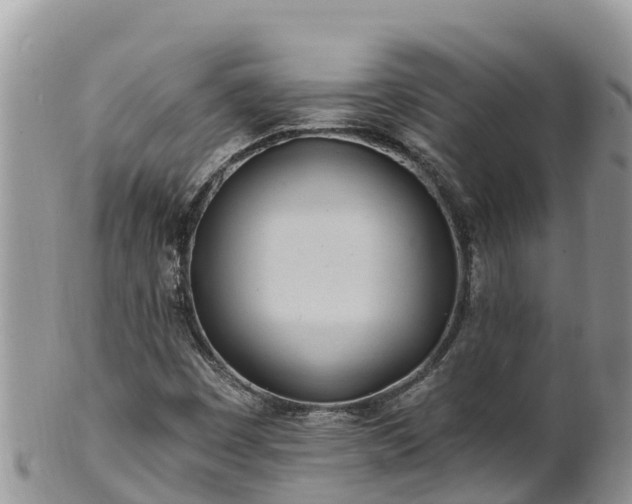 X0000102291449200808011502