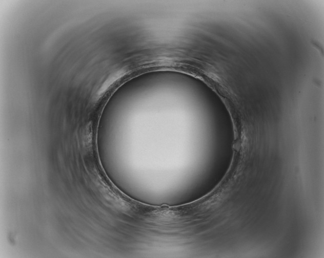 X0000102291450200808011502