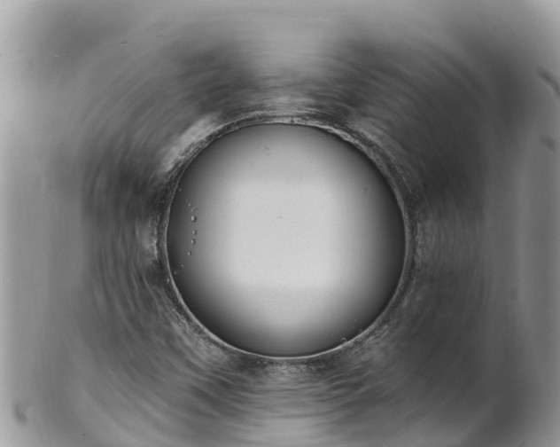 X0000102291451200808011502