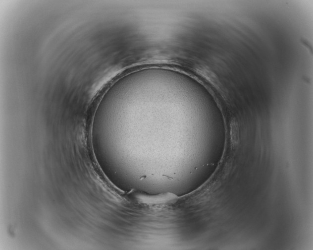 X0000102291452200808011502