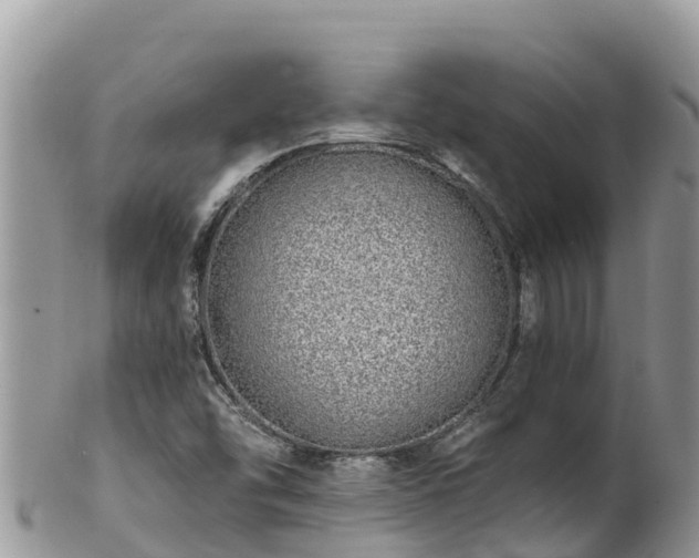 X0000102291454200808011502