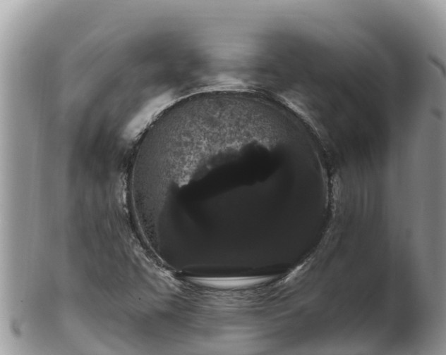 X0000102291455200808011502