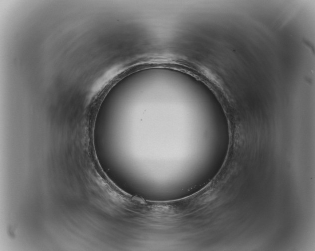 X0000102291456200808011502