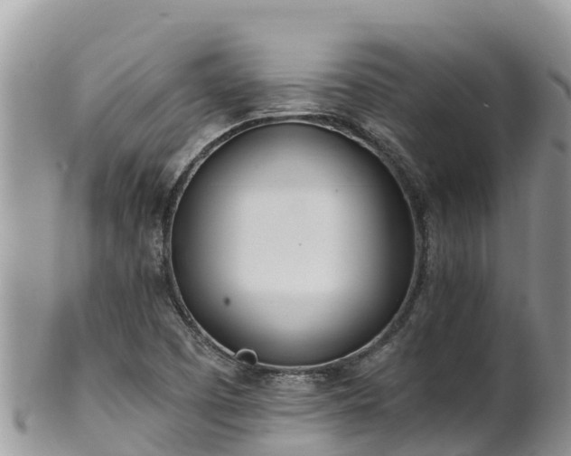 X0000102291457200808011502