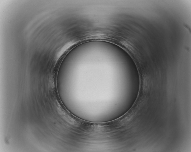 X0000102291458200808011502