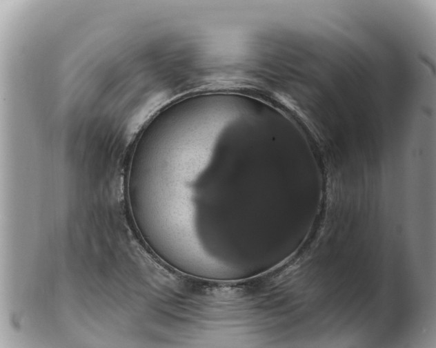 X0000102291459200808011502