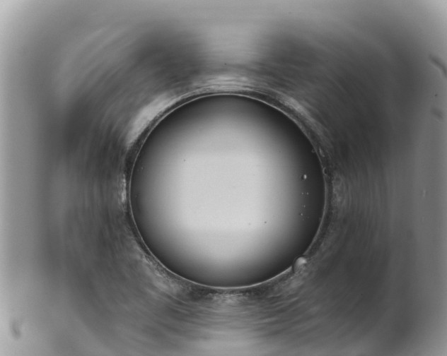 X0000102291461200808011502