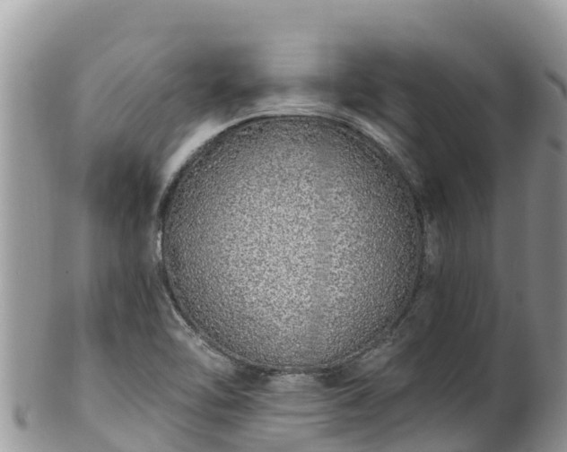 X0000102291462200808011502