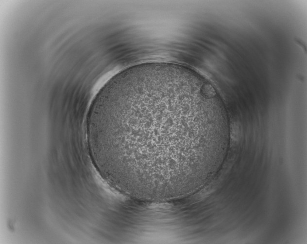 X0000102291466200808011502