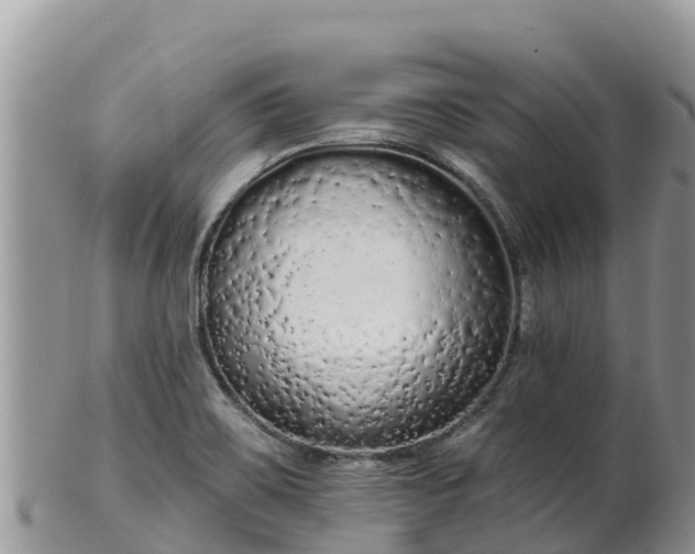 X0000102291467200808011502