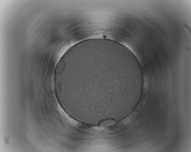 X0000102291468200808011502