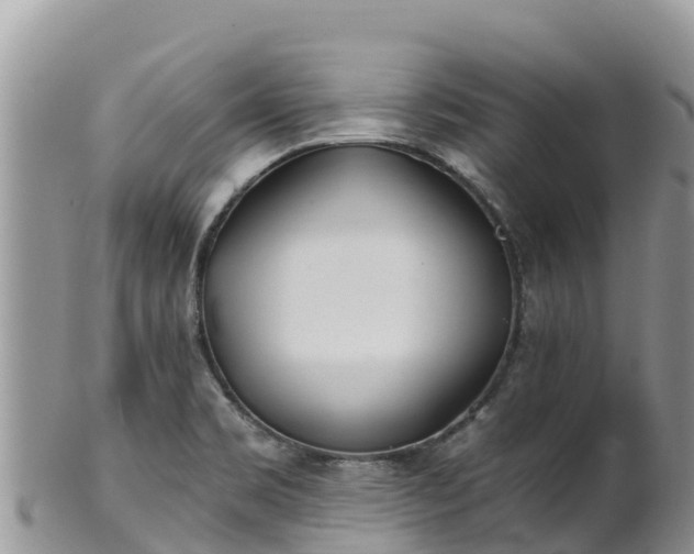 X0000102291469200808011502