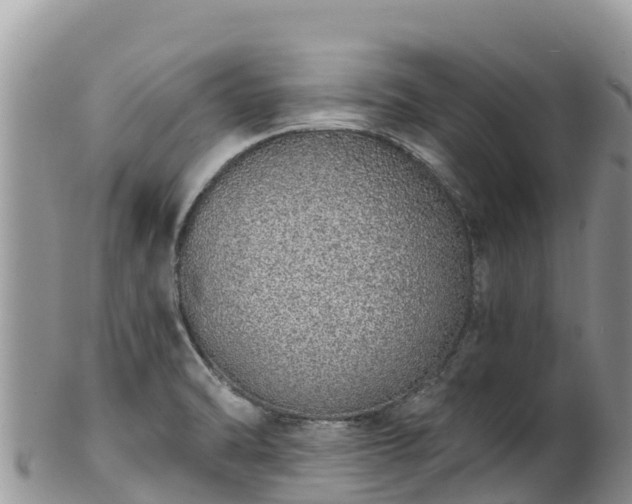 X0000102291470200808011502