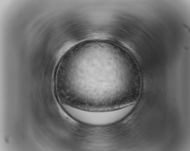 X0000102291471200808011502