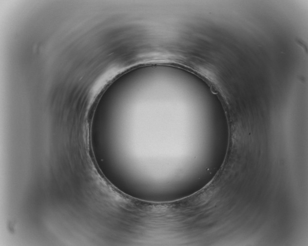 X0000102291472200808011502