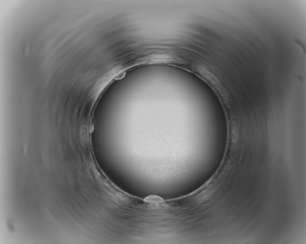 X0000102291473200808011502