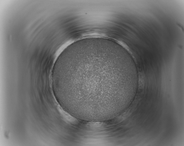 X0000102291474200808011502