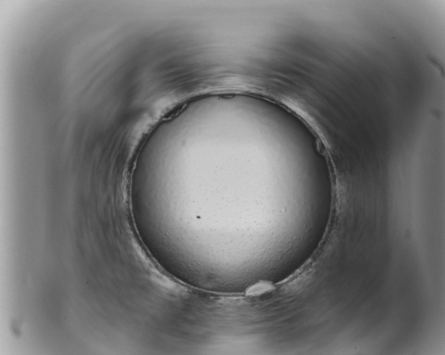 X0000102291477200808011502