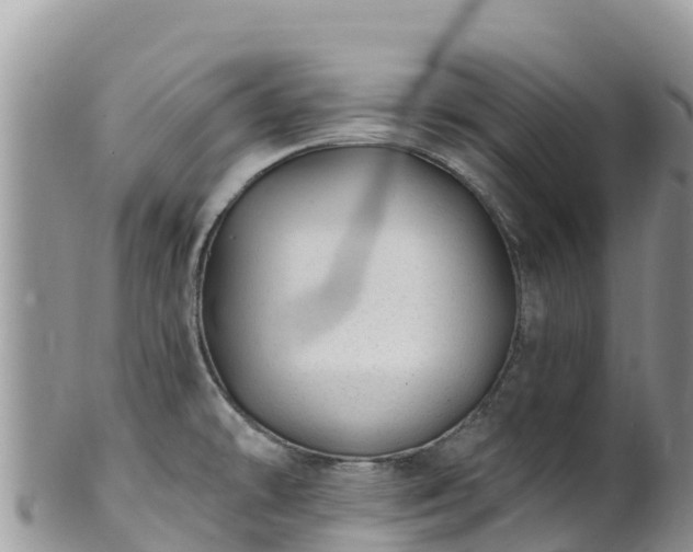 X0000102291478200808011502