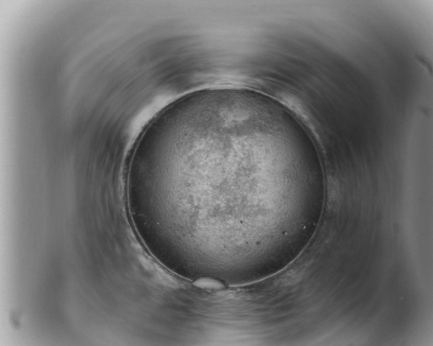 X0000102291480200808011502